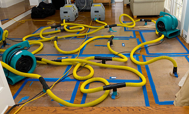 Professional Burst Pipe Water Damage technician working in Bonner Springs, KS